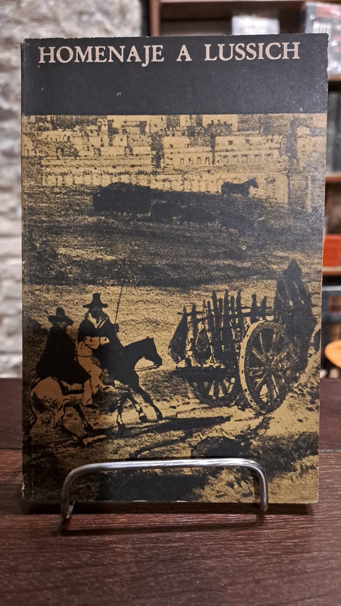 HOMENAJE A LUSSICH (usado)