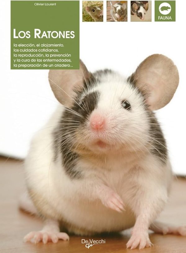LOS RATONES