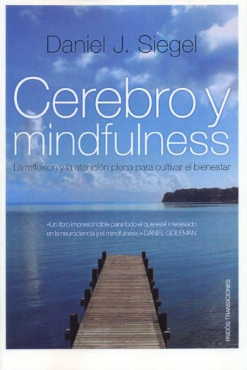 CEREBRO Y MINDFULNESS - La reflexion y la atencion plena para cultivar el bienestar