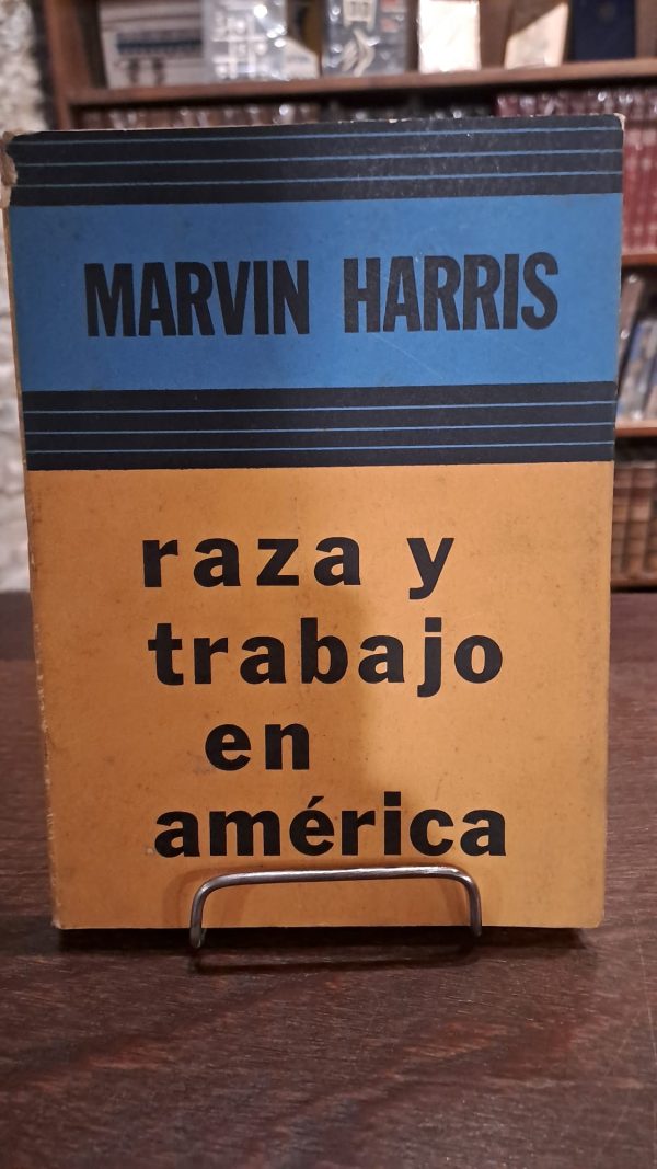 RAZA Y TRABAJO EN AMERICA (USADO)