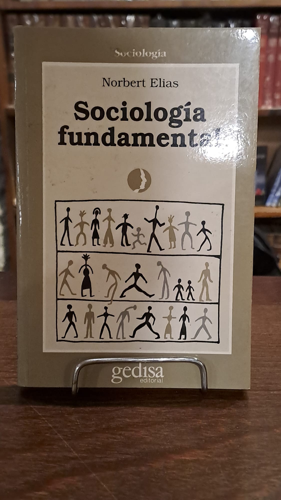 SOCIOLOGIA FUNDAMENTAL (USADO)