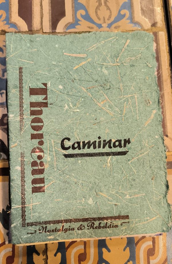 CAMINAR