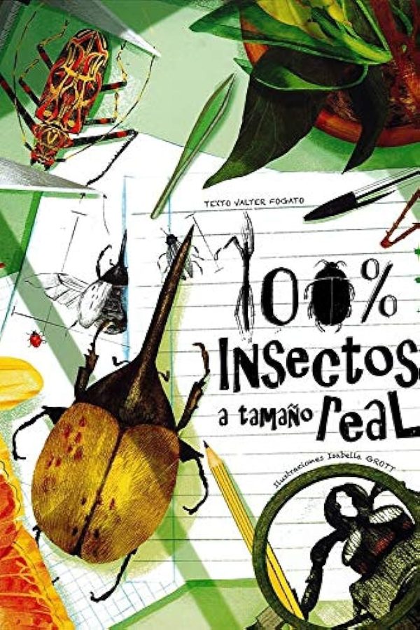 100% INSECTOS A TAMAÑO REAL