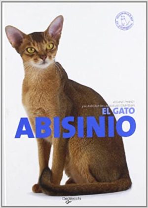 EL GATO ABISINIO