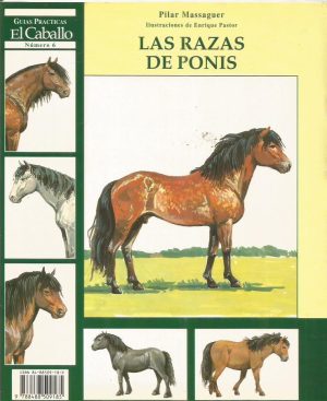 LA RAZAS DE PONIS