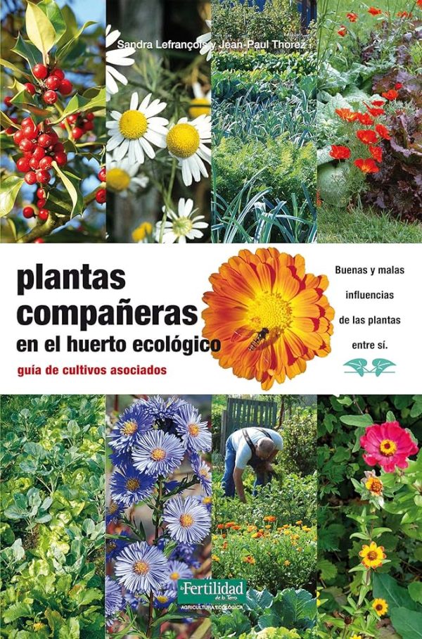 PLANTAS COMPAÑERAS EN EL HUERTO ECOLOGICO