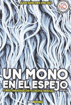 UN MONO EN EL ESPEJO