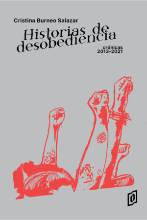 HISTORIA DE DESOBEDIENCIAS - CRONICAS 2013-2021