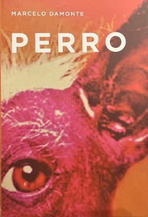 PERRO