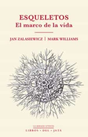 ESQUELETOS: EL MARCO DE LA VIDA