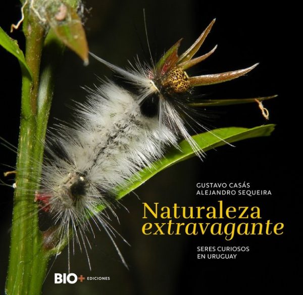 NATURALEZA EXTRAVAGANTE - Seres curiosos en Uruguay