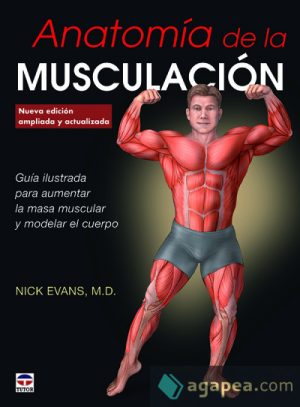 ANATOMÍA DE LA MUSCULACIÓN