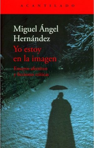 YO ESTOY EN LA IMAGEN - Ensayos afectivos y ficciones críticas