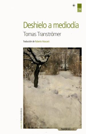 DESHIELO A MEDIODÍA