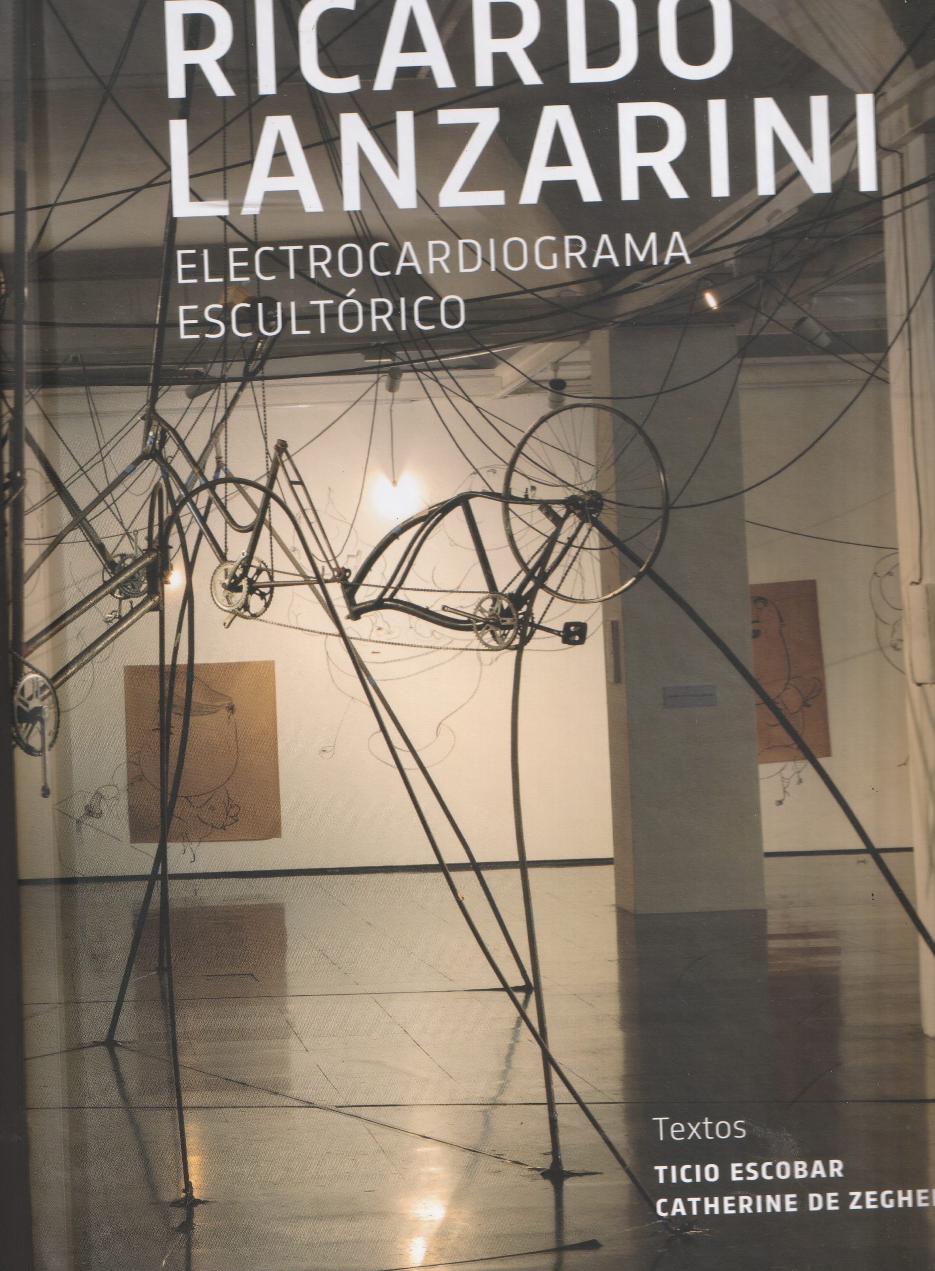 RICARDO LANZARINI - Electrocardiograma escultórico