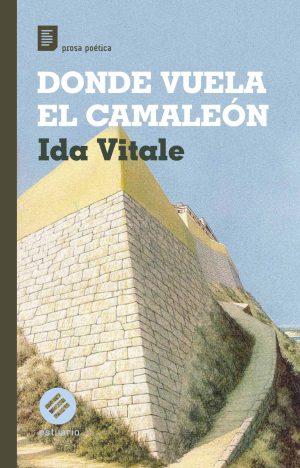 DONDE VUELA EL CAMALEÓN