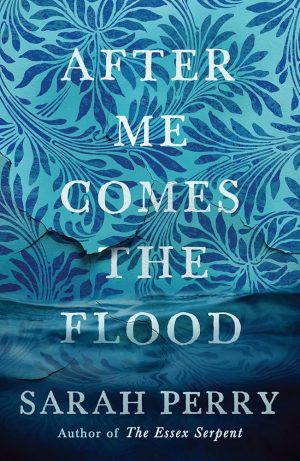 AFTER ME COMES THE FLOOD