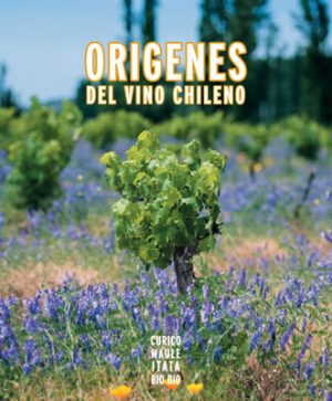 ORIGENES DEL VINO CHILENO