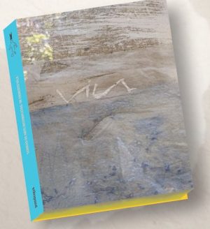 SOBRAS DE ARTE INCOMPLETAS DE ERNESTO VILA