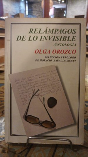 RELAMPAGOS DE LO INVISIBLE - ANTOLOGIA