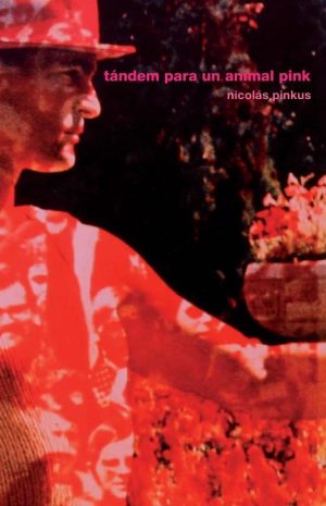 TÁNDEM PARA UN ANIMAL PINK