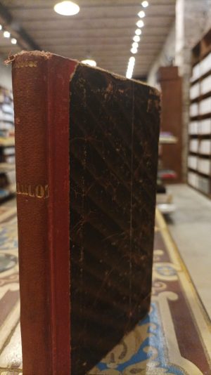 MARGOT - EL SECRETO DE JAVOTTE - LAS DOS AMANTES - HISTORIA DE UN MIRLO BLANCO