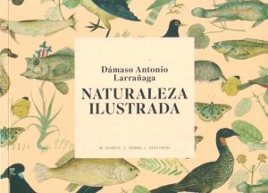 NATURALEZA ILUSTRADA