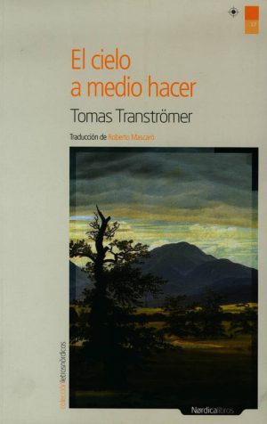 EL CIELO A MEDIO HACER