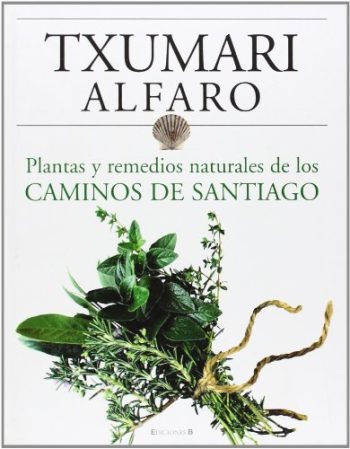 CAMINOS DE SANTIAGO