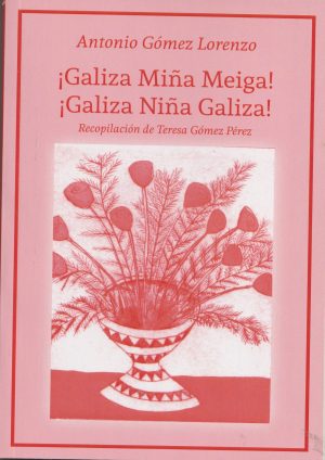 ¡GALIZA MIÑA MEIGA! ¡GALIZA NIÑA GALIZA!