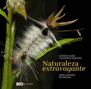 NATURALEZA EXTRAVAGANTE - Seres curiosos en Uruguay