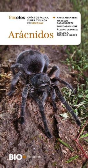 ARACNIDOS - Guías de fauna, flora y funga en Uruguay
