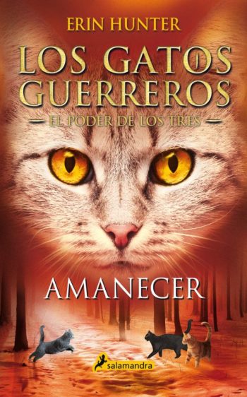 AMANECER. LOS GATOS GUERREROS. EL PODER DE LOS TRES 6