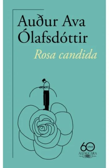 ROSA CANDIDA