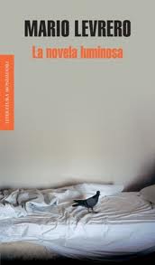 LA NOVELA LUMINOSA