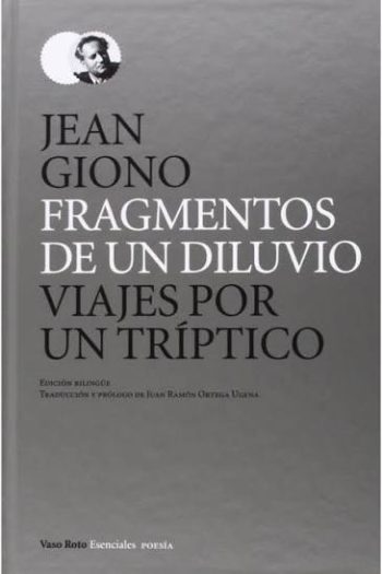 FRAGMENTOS DE UN DILUVIO - VIAJES POR UN TRIPTICO