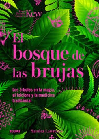 EL BOSQUE DE LAS BRUJAS