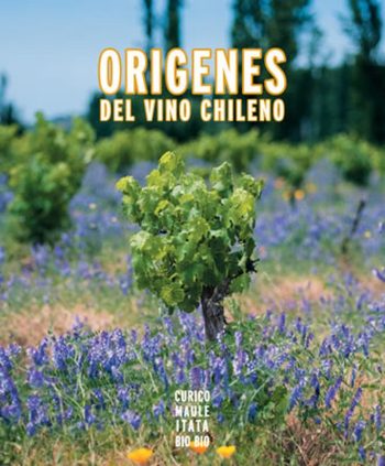 ORIGENES DEL VINO CHILENO