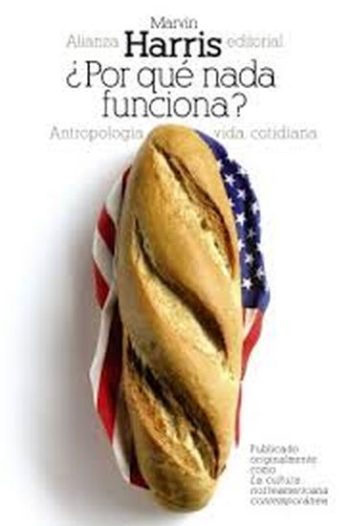 ¿POR QUE NADA FUNCIONA?