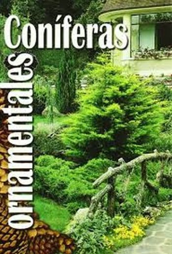 CONIFERAS ORNAMENTALES