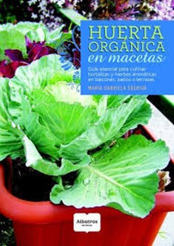 HUERTA ORGÁNICA EN MACETAS