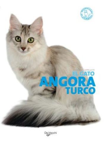 EL GATO DE ANGORA TURCO