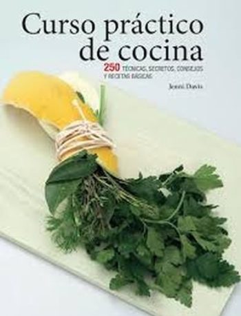 CONSEJOS Y RECETAS BASICAS CURSO PRACTICO DE COCINA - 250 TECNICAS