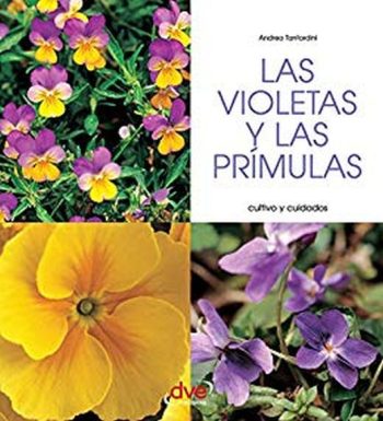 LAS VIOLETAS Y LAS PRIMULAS