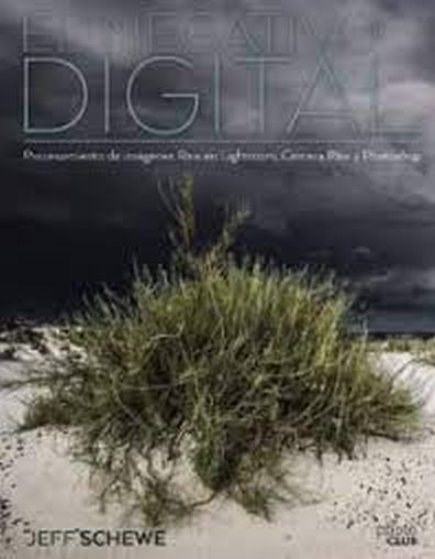 EL NEGATIVO DIGITAL - PROCESAMIENTO DE IMAGENES, RAW EN LIGHTROOM, CAMERA RAW Y PHOTOSHOP