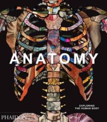 ANATOMY: EXPLORING THE HUMAN BODY (edición en inglés)