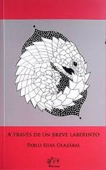 A TRAVÉS DE UN BREVE LABERINTO