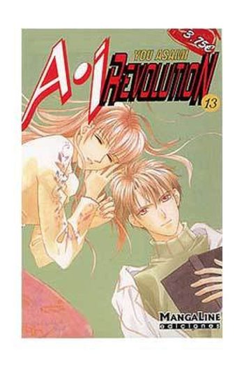 AI REVOLUTION 13