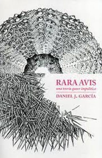 RARA AVIS - Una teoría queer impolítica