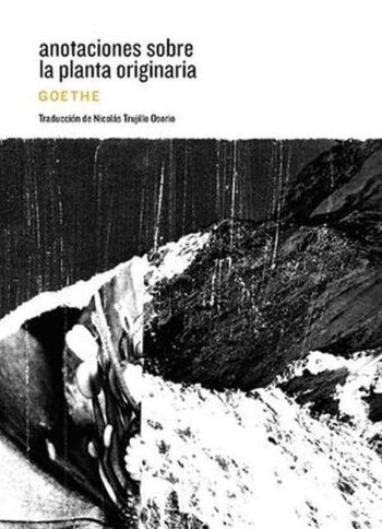 ANOTACIONES SOBRE LA PLANTA ORIGINARIA